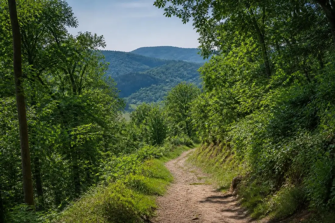 explorez le gr®714, un sentier de randonnée entre bar-le-duc et dombrot-le-sec, à travers les paysages pittoresques de la meuse et des vosges. découvrez nature, patrimoine et charme authentique.