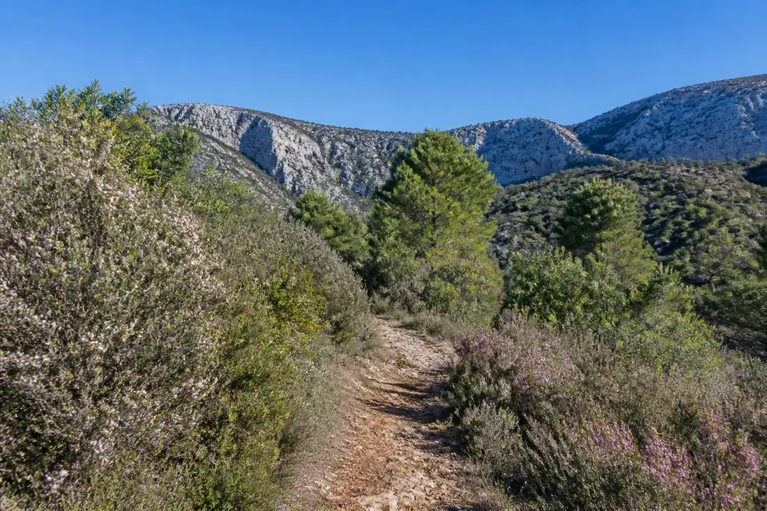 explorez le gr®74 de st maurice-navacelles au jouquet dans l’hérault, un sentier de randonnée offrant des paysages naturels exceptionnels et une immersion unique dans la beauté du sud de la france.