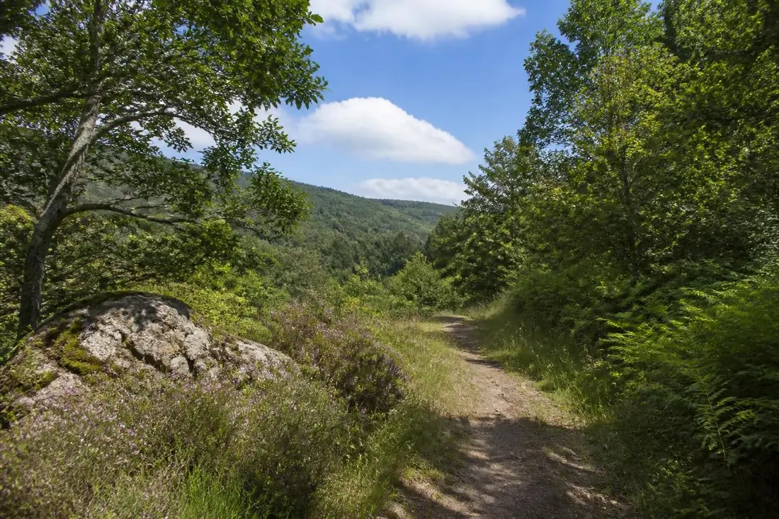 explorez le gr®76 de chagny à affoux avec notre guide complet : itinéraire détaillé, conseils pratiques et astuces pour une randonnée réussie et agréable.