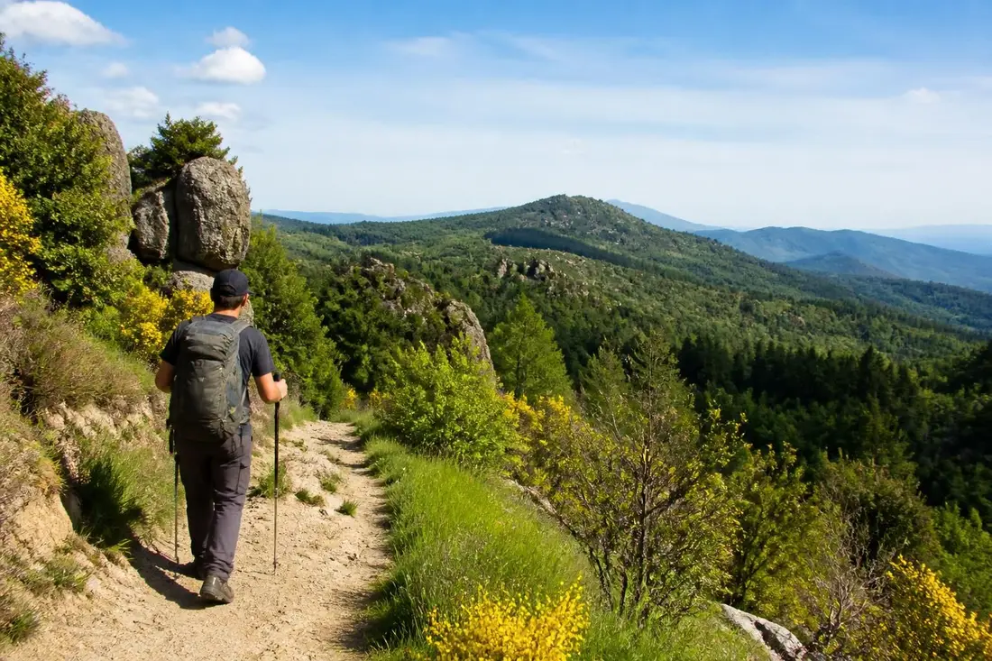 explorez le gr®765, un itinéraire de randonnée captivant de lyon au puy-en-velay. découvrez des conseils pratiques pour préparer votre aventure et profiter pleinement de ce parcours emblématique.