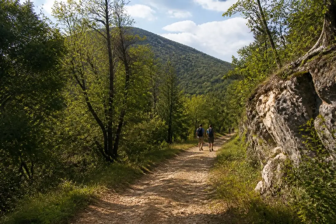 explorez le gr®76a de st-vallerin au mont saint-rigaud, un itinéraire de randonnée captivant à travers les paysages pittoresques de saône-et-loire et du rhône.