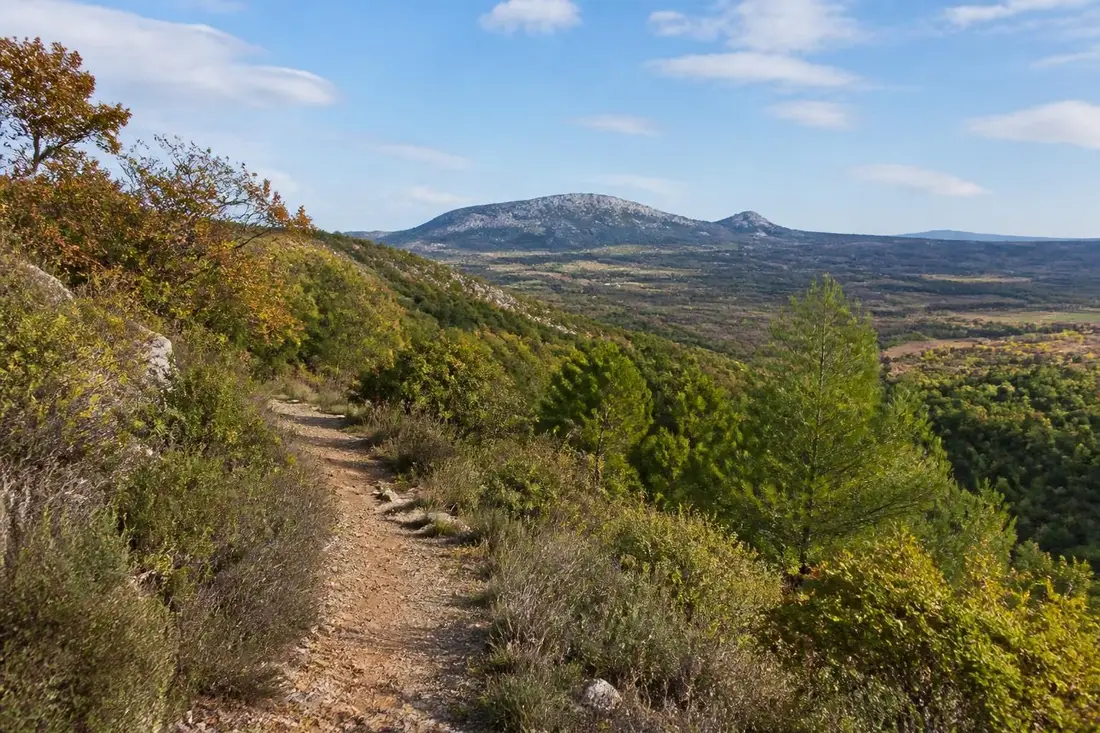 explorez le gr®77, un itinéraire de randonnée captivant entre le saut de vézoles et le signal de l'alaric, traversant les magnifiques paysages des départements de l'hérault et de l'aude.