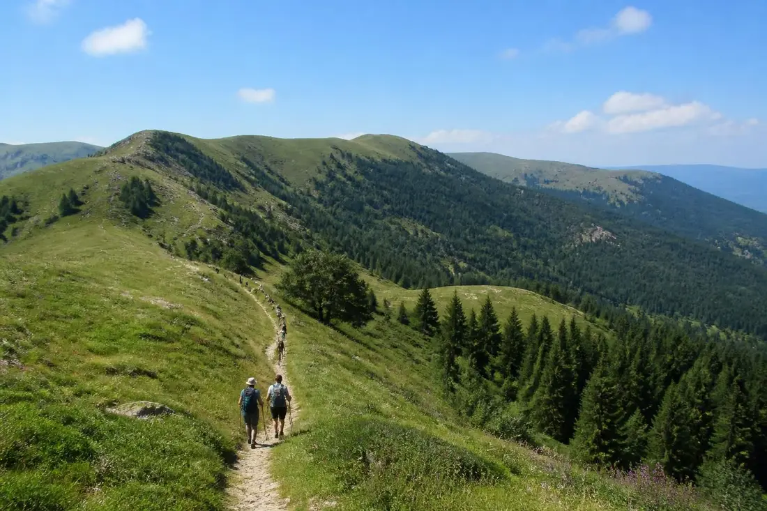 explorez le tour de la déodatie sud avec nos itinéraires détaillés et conseils pratiques pour une aventure réussie au cœur de cette région magnifique.