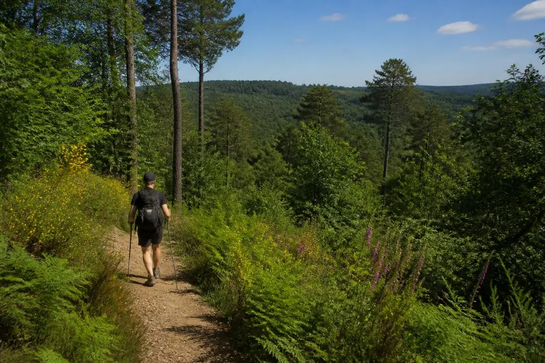 explorez le tour de la haute chalosse dans les landes avec notre guide complet pour les randonneurs, incluant itinéraires, conseils pratiques et points d'intérêt incontournables.