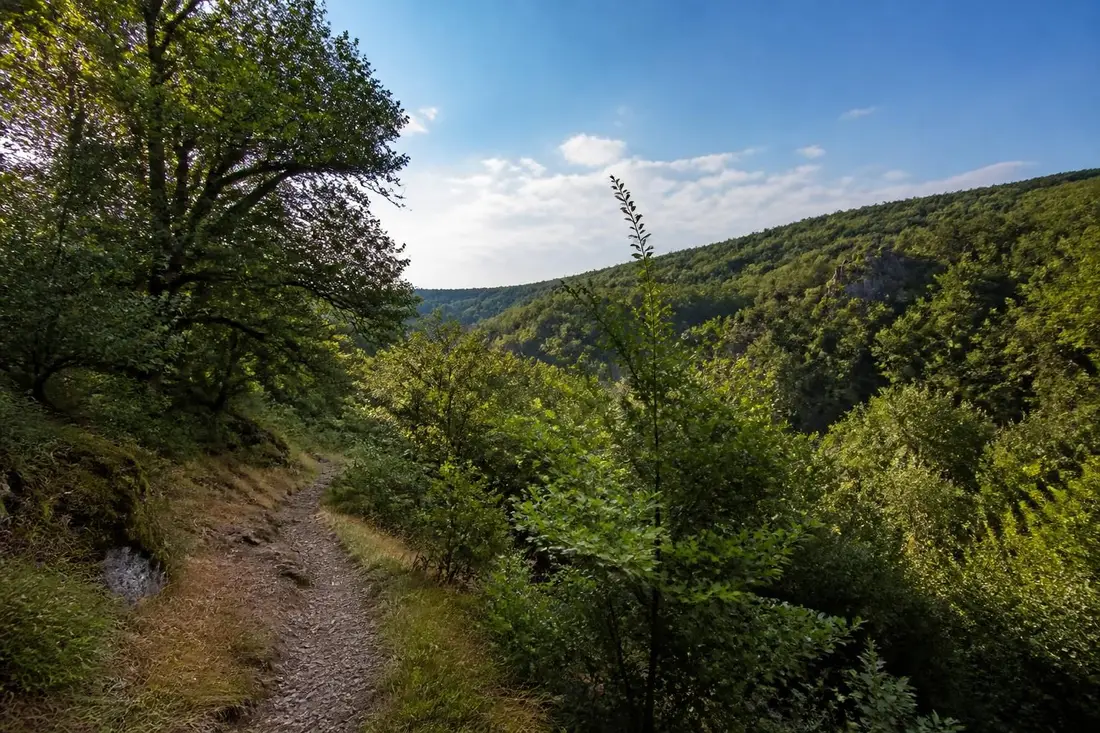 explorez le tour de la xaintrie noire en corrèze avec notre guide complet 2026. itinéraires, conseils pratiques et découvertes incontournables pour une aventure inoubliable.