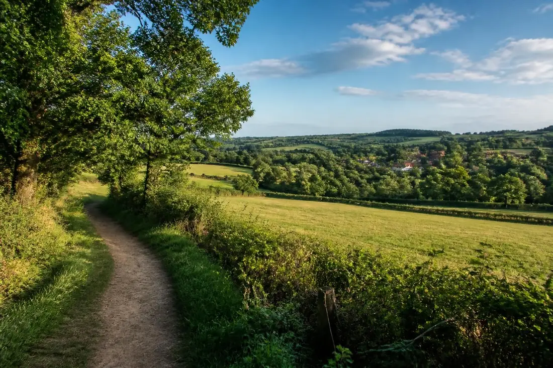 explorez le tour des collines de sèvre et maine en vendée, un parcours unique entre paysages vallonnés, vignobles et patrimoine naturel pour une aventure inoubliable.