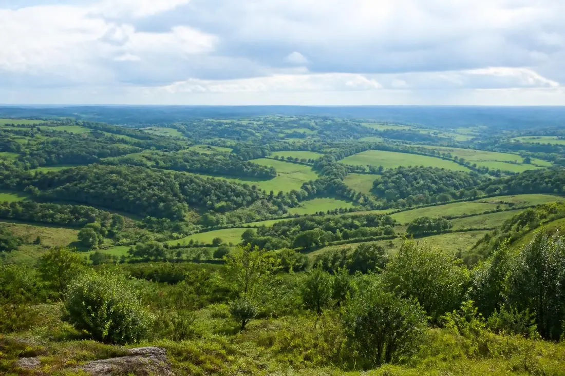 explorez le magnifique tour des crêtes du mortainais, un itinéraire unique entre la manche et l'orne, offrant paysages pittoresques et découvertes naturelles.