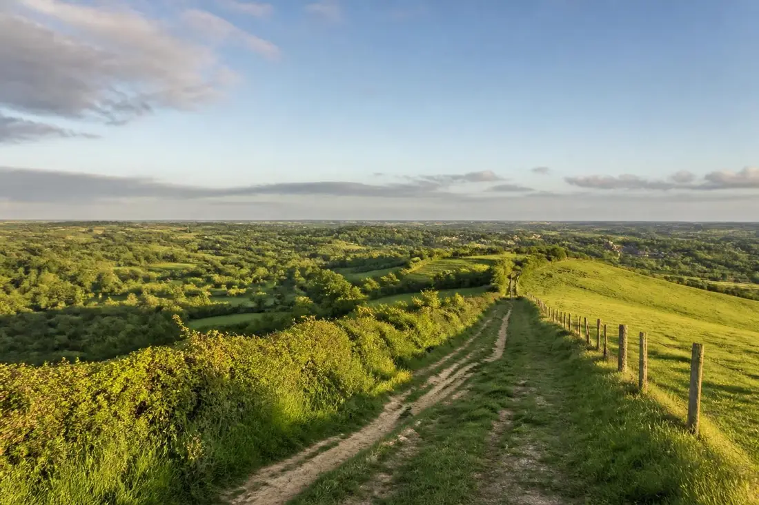 explorez le tour des crêtes du mortainais, un itinéraire pittoresque entre la manche et l'orne, idéal pour les amateurs de randonnée et de paysages naturels préservés.
