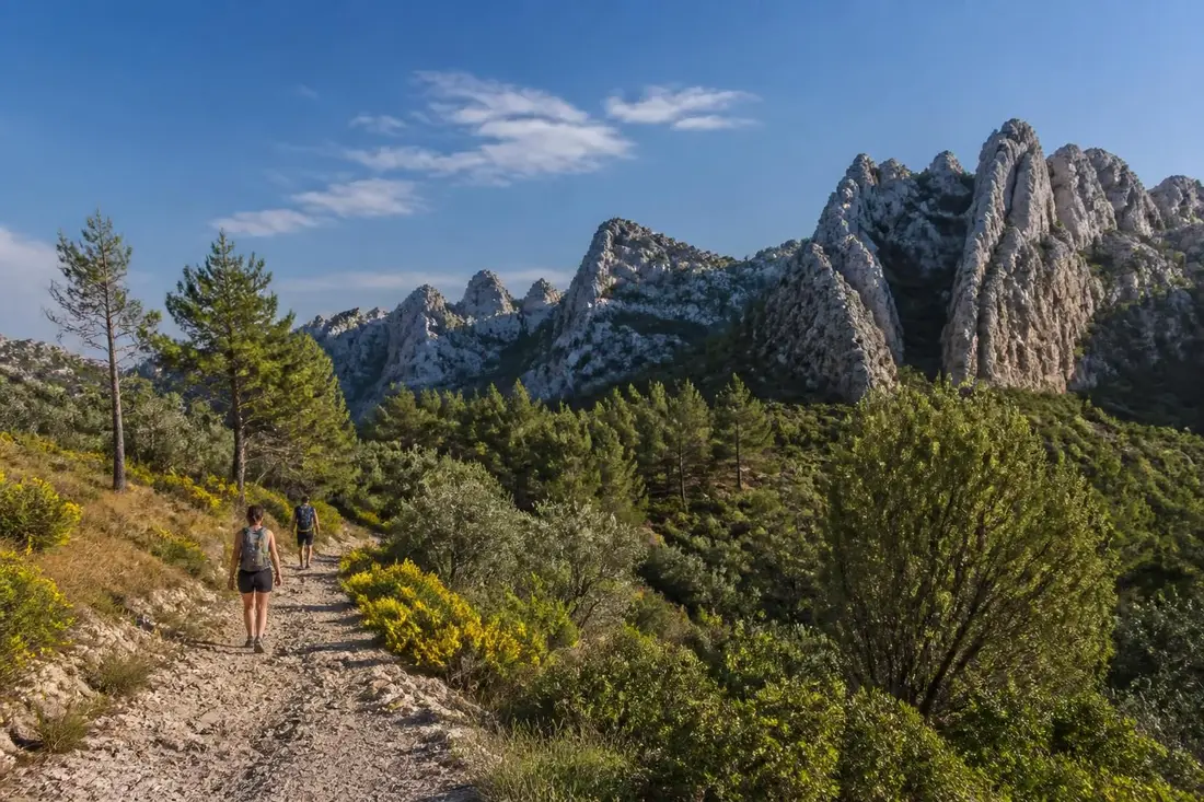 explorez le tour des dentelles de montmirail dans le vaucluse, un circuit incontournable pour admirer des paysages viticoles uniques et des formations rocheuses spectaculaires.