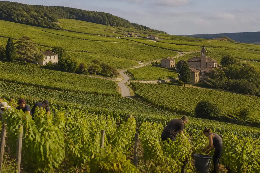 explorez le tour des grands crus de la côte-d'or en 2026 et découvrez les vins d'exception, les paysages pittoresques et les traditions viticoles uniques de cette région prestigieuse.