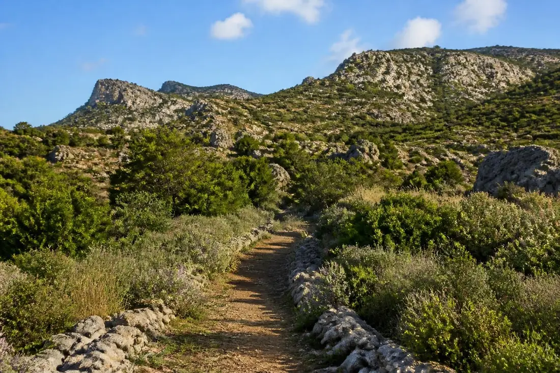 explorez le tour du larzac méridional, une aventure entre hérault et gard alliant paysages naturels, patrimoine historique et découvertes culturelles.