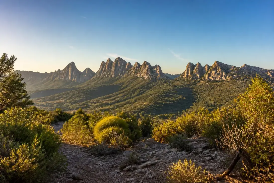 explorez le tour du massif de rasteau dans le vaucluse : une randonnée incontournable offrant des paysages magnifiques et une immersion au cœur de la nature provençale.