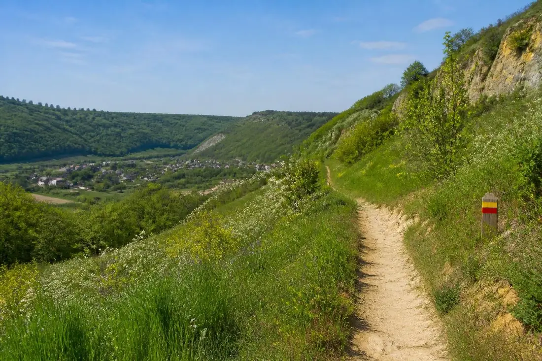 découvrez le tour du pays de rétif de la bretonne dans l’yonne, une expérience riche en histoire, culture et paysages authentiques de bourgogne.