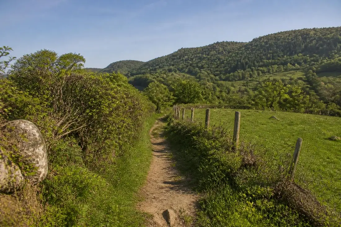 explorez le tour sur lo camin d'olt, un parcours magnifique entre l'aveyron et le cantal, riche en paysages naturels et patrimoines culturels.
