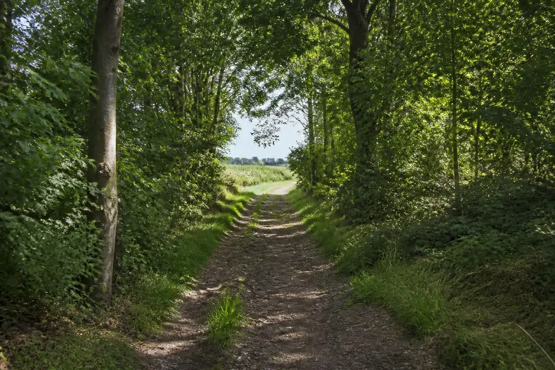 explorez le gr®121c de aubigny-au-bac à le quesnoy et découvrez le charme du sentier nordiste entre paysages pittoresques et patrimoine local.