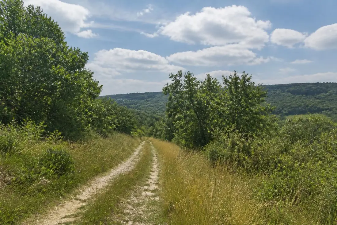 découvrez le guide complet du parcours gr®132 de la sausselière à chaumot, un itinéraire entre loiret et yonne offrant paysages variés et étapes incontournables pour les randonneurs.