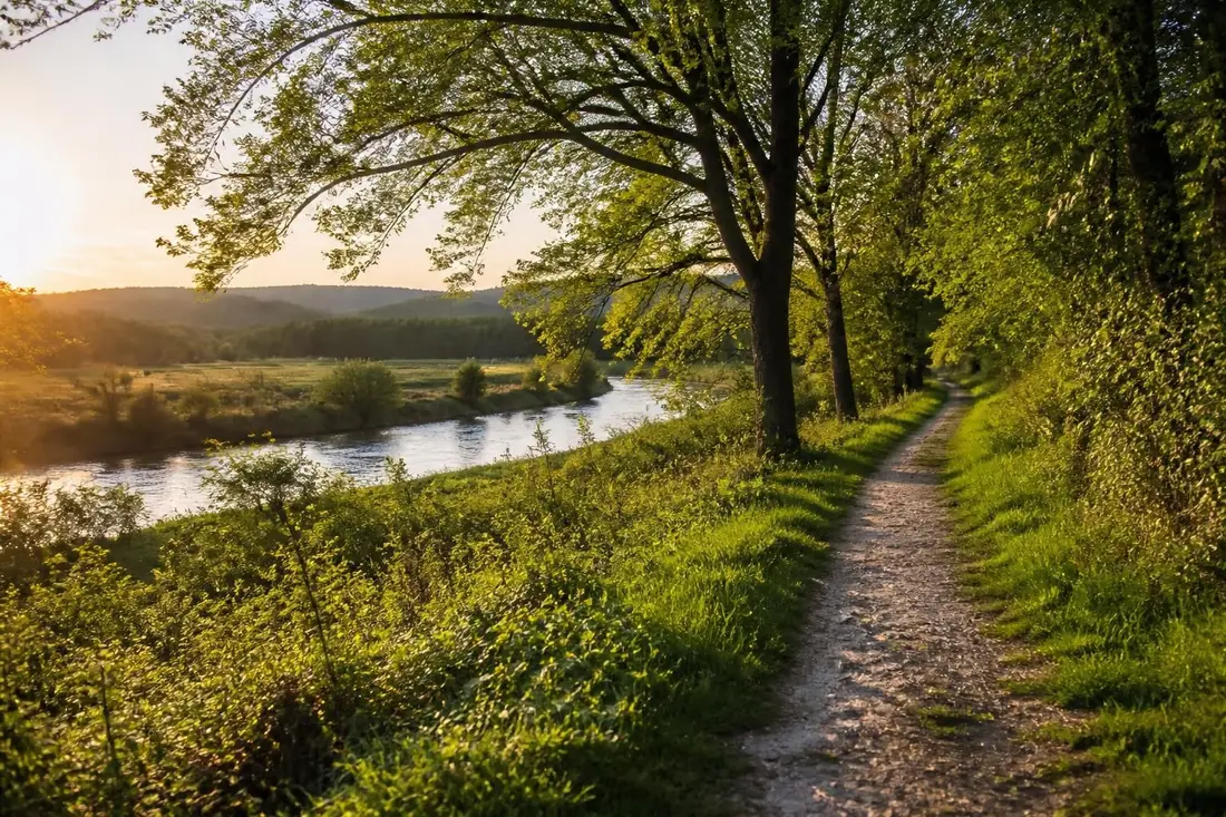 découvrez le gr®655, un sentier emblématique reliant villebon-sur-yvette à vouvray, à travers les magnifiques paysages de l'essonne et de l'indre-et-loire. partez à l'aventure et explorez cette randonnée riche en patrimoine et nature.