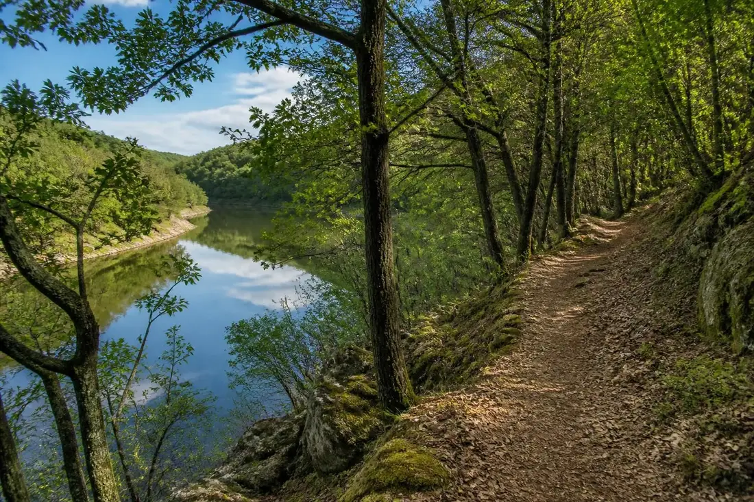 découvrez le gr®8 de la loire à la sèvre, un itinéraire de randonnée unique alliant paysages naturels, patrimoine local et aventures en plein air.