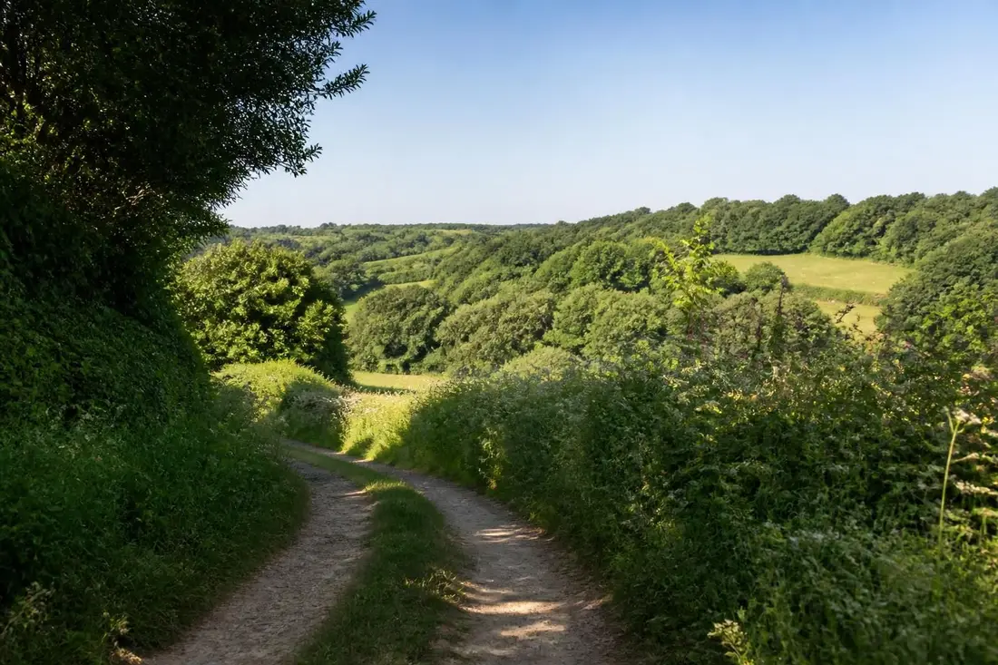 découvrez les magnifiques marches de bretagne en suivant le parcours pittoresque de laval à vitré en ille-et-vilaine, entre nature, patrimoine et culture locale.