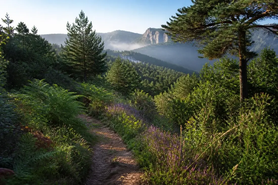 découvrez le sentier gr®71 et parcourez l'itinéraire pittoresque de l'espérou à lodève, entre les départements du gard et de l'hérault, pour une immersion nature et patrimoine au cœur des paysages du sud de la france.