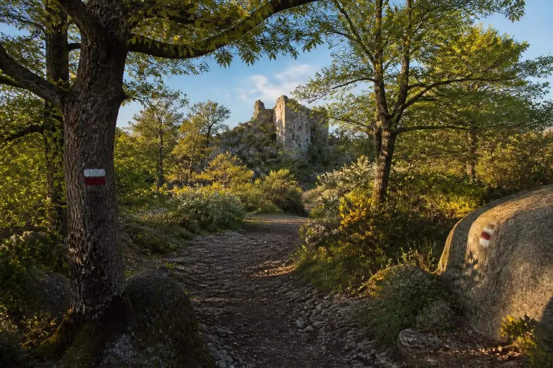 découvrez le gr®965, le sentier historique des huguenots, et plongez dans une aventure riche en histoire, culture et paysages magnifiques.