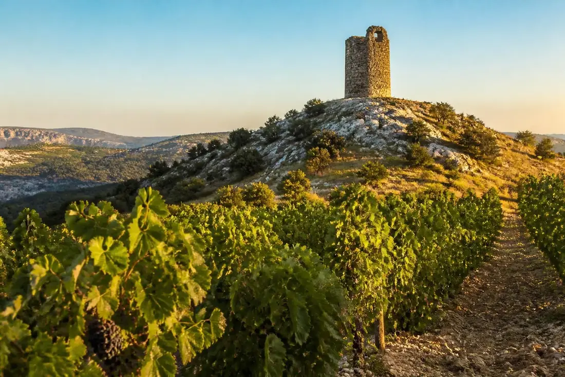 explorez le grand pic st-loup dans l'hérault, un itinéraire unique qui vous emmène des vignobles pittoresques aux paysages sauvages des causses. une randonnée idéale pour les amoureux de la nature et du terroir.