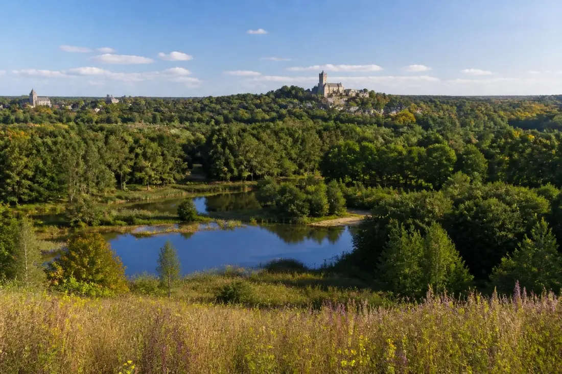 explorez le tour de la sologne et découvrez les paysages incontournables des départements du loiret, cher et loir-et-cher. partez à la découverte de forêts, étangs et châteaux remarquables au cœur de la nature.