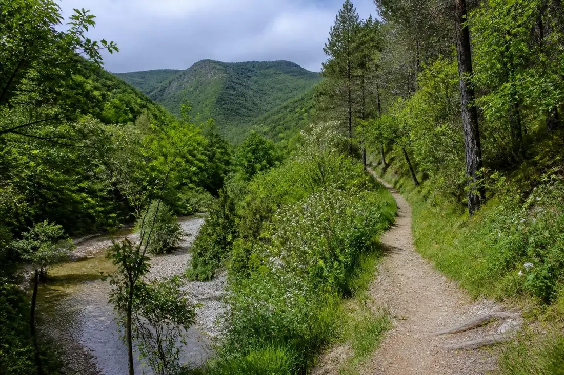 découvrez le guide complet pour réussir votre randonnée autour de la vallée de la roanne en drôme. itinéraires, conseils pratiques et points d'intérêt pour une aventure inoubliable.