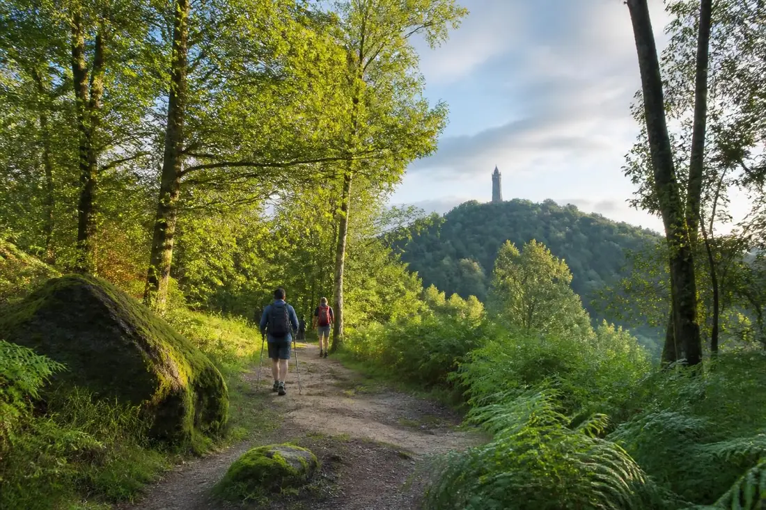 découvrez le tour de la vologne dans les vosges : guide complet avec conseils pratiques pour une randonnée réussie au cœur de paysages naturels exceptionnels.