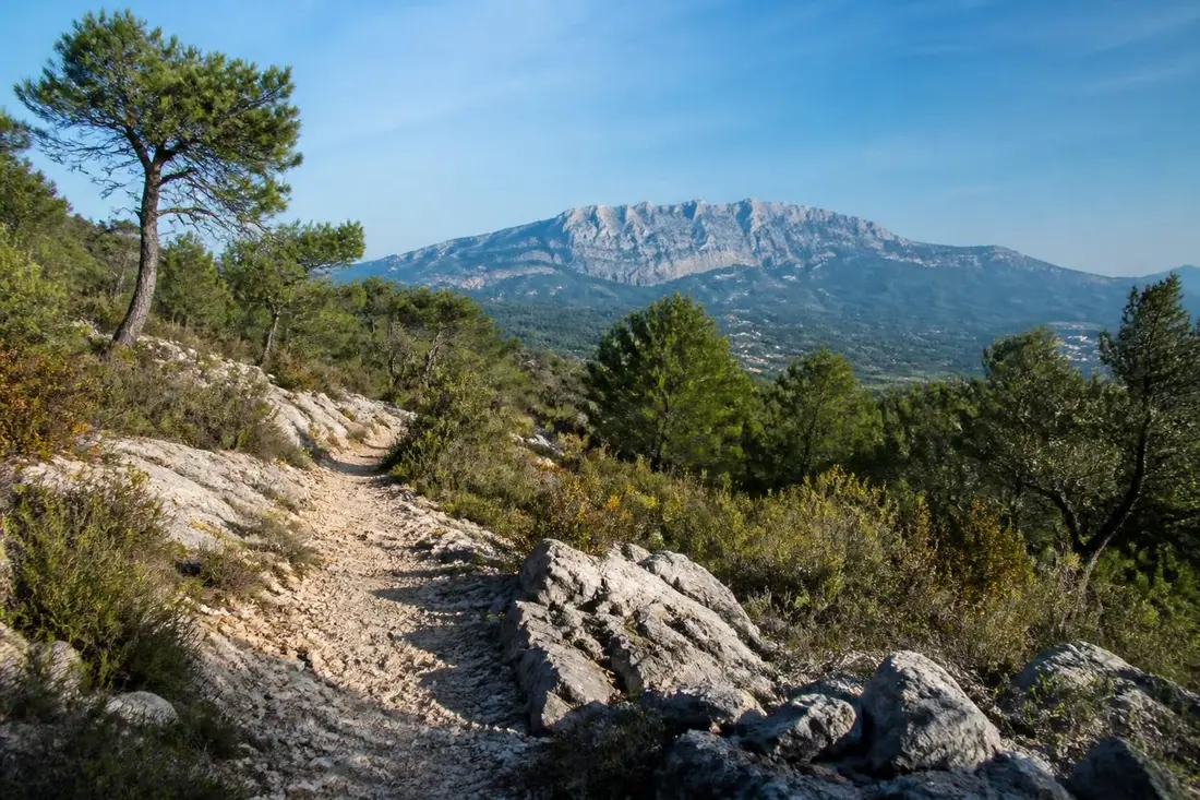 explorez les enjeux énergétiques dans les bouches-du-rhône avec la tour de provence mines d'énergies sud, un aperçu clé des ressources et innovations locales.
