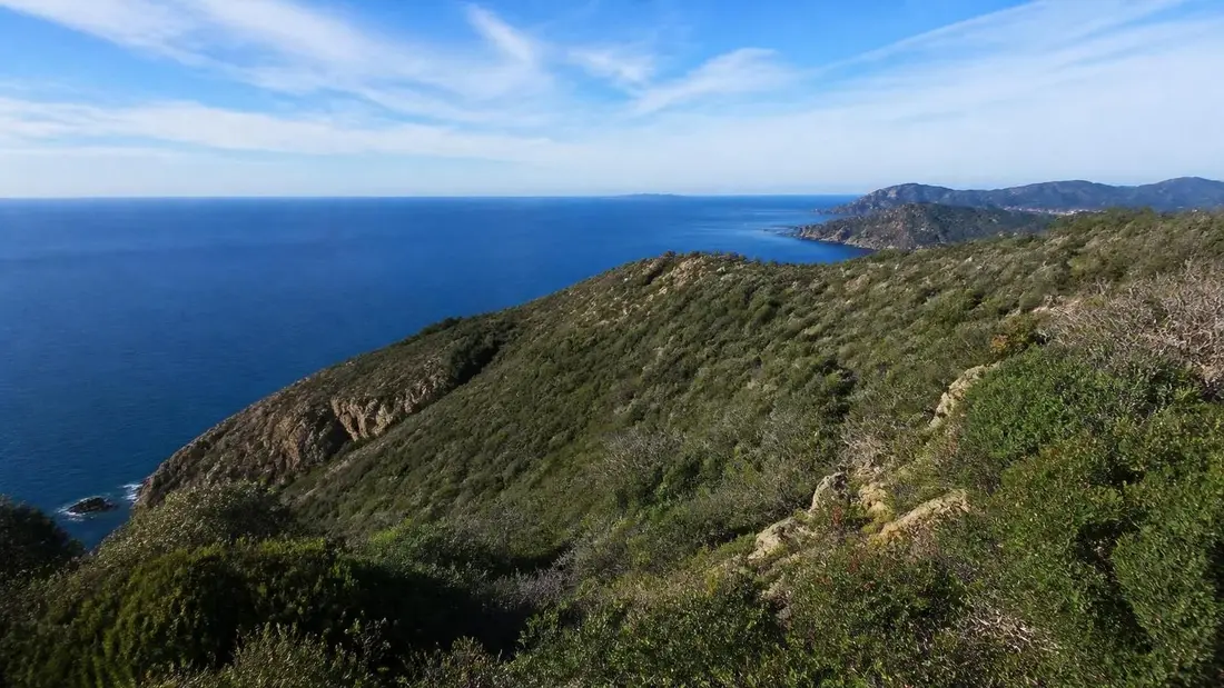 partez à l'aventure avec le tour des crêtes de l'île de port cros et explorez les paysages sauvages et préservés du var, entre mer et nature exceptionnelle.