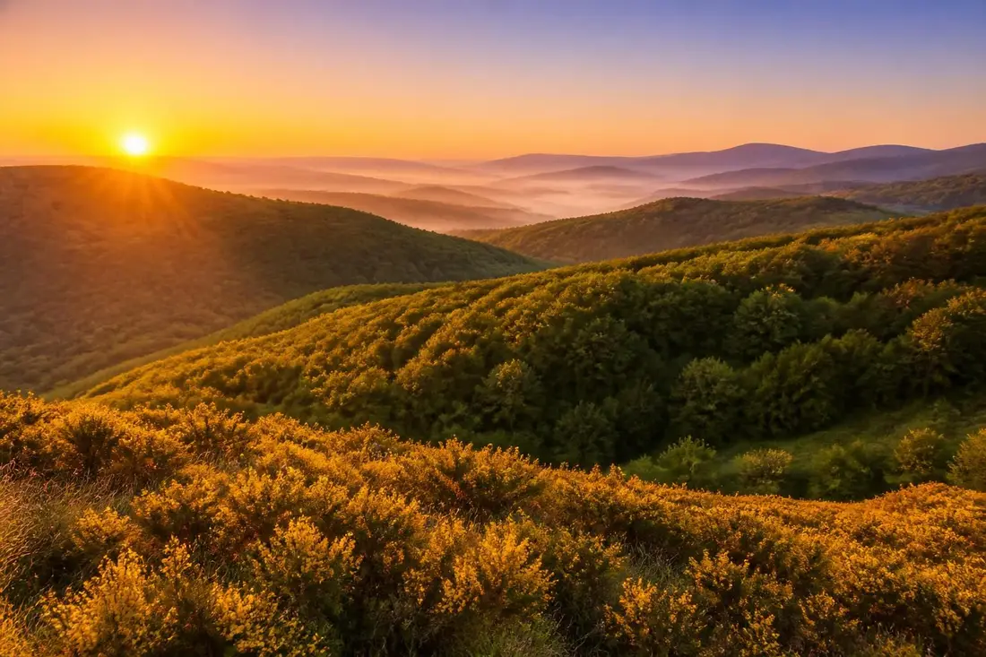découvrez le tour des monts du lyonnais, une randonnée alliant beauté naturelle et richesse du patrimoine local. partez à l'aventure au cœur des paysages vallonnés et des sites historiques à ne pas manquer.