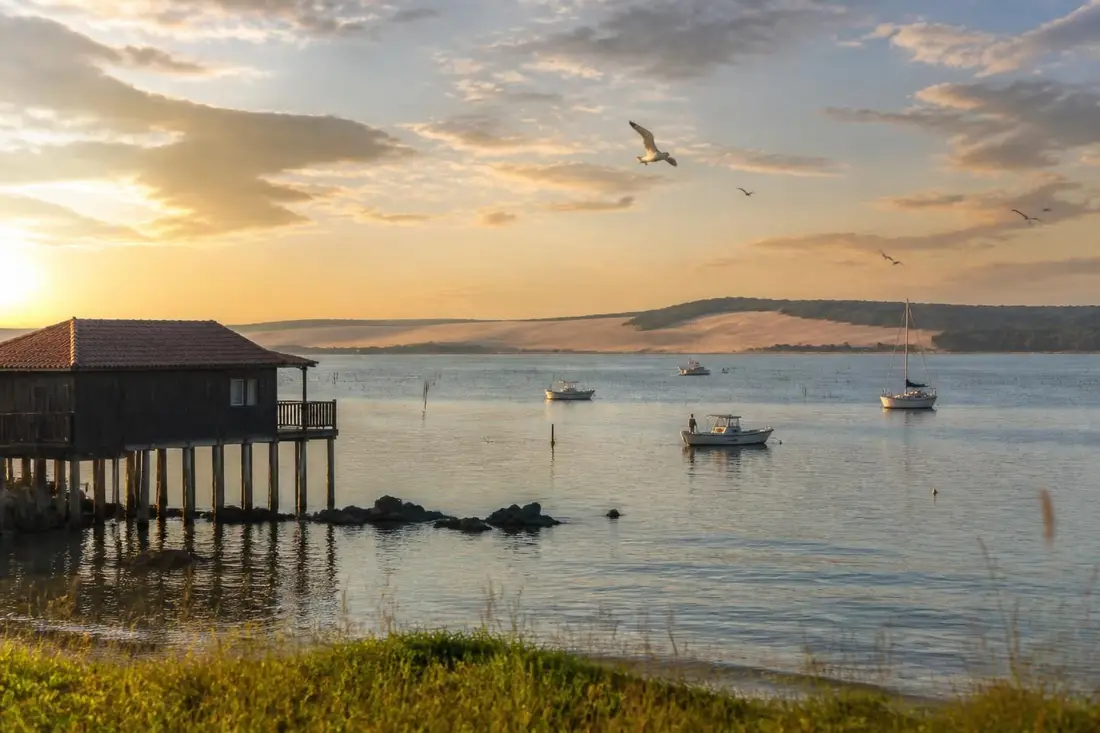 découvrez notre guide complet 2026 pour le tour du bassin d'arcachon en gironde : itinéraires, conseils, activités incontournables et bonnes adresses pour un séjour mémorable.