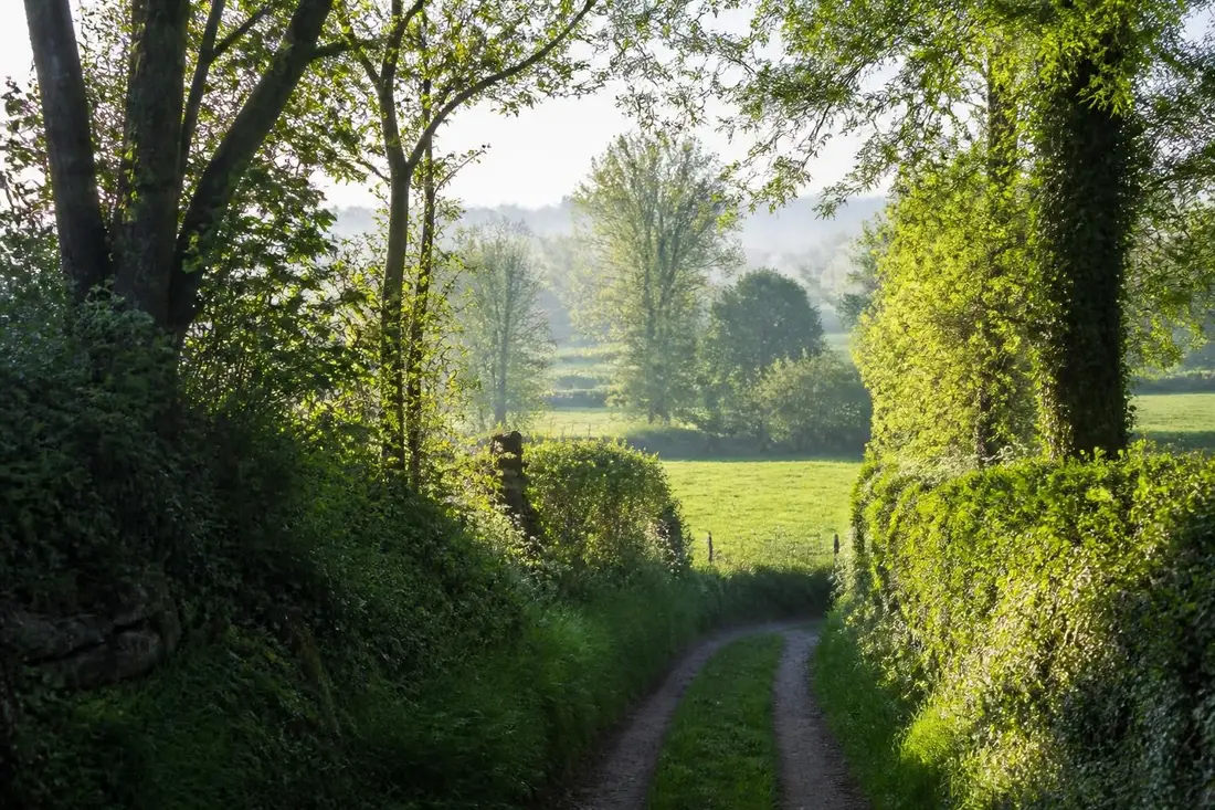 découvrez le tour du pays des marches de gâtine, un itinéraire unique entre deux-sèvres et vienne, idéal pour les amoureux de nature et de patrimoine.