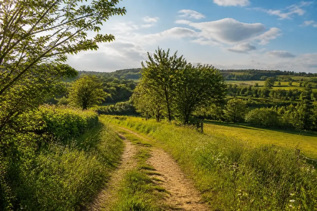découvrez le tour du pays des marches de gâtine, un itinéraire pittoresque entre les deux-sèvres et la vienne, idéal pour les amateurs de nature et de patrimoine.