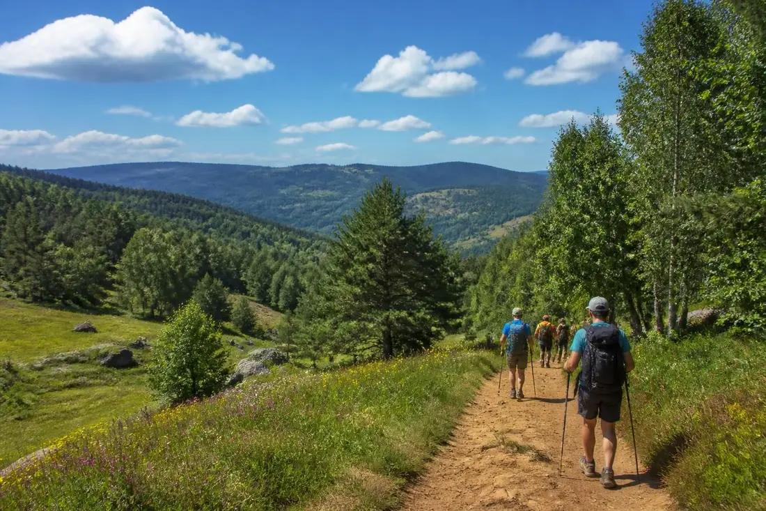 découvrez le tour du plateau de millevaches en corrèze avec notre guide complet pour randonneurs : itinéraires, conseils pratiques et paysages incontournables.