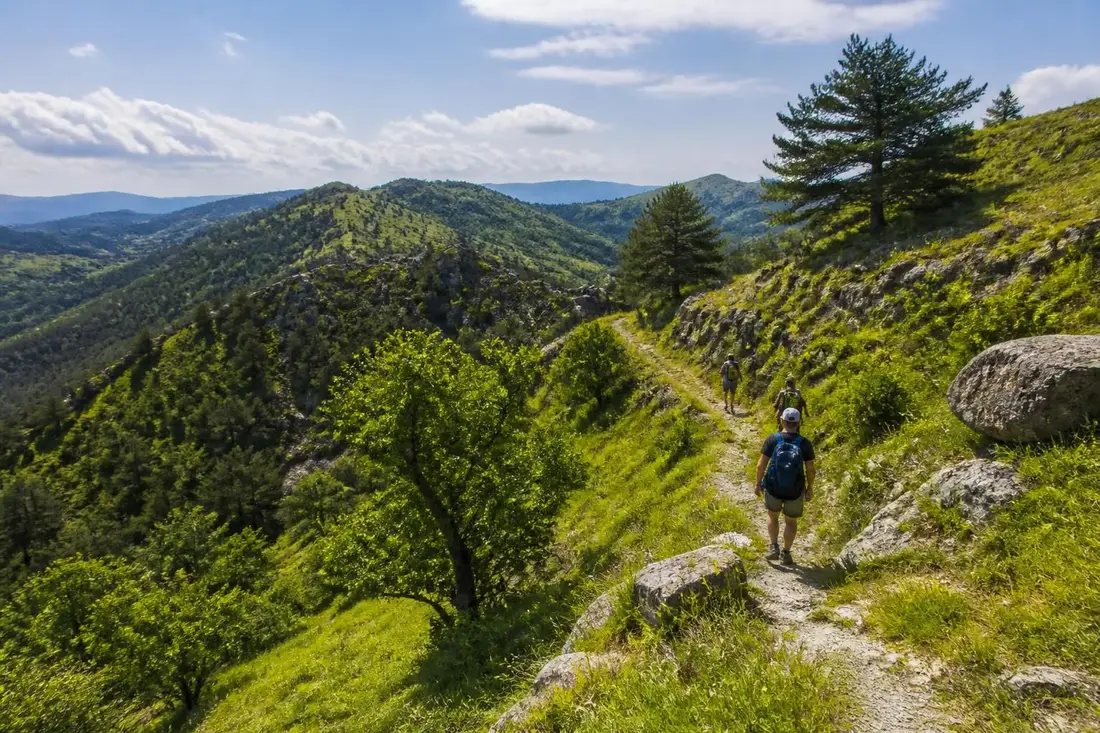 découvrez le tour du viganais dans le gard, un itinéraire incontournable en 2026 pour les amateurs de randonnée et de paysages naturels exceptionnels.