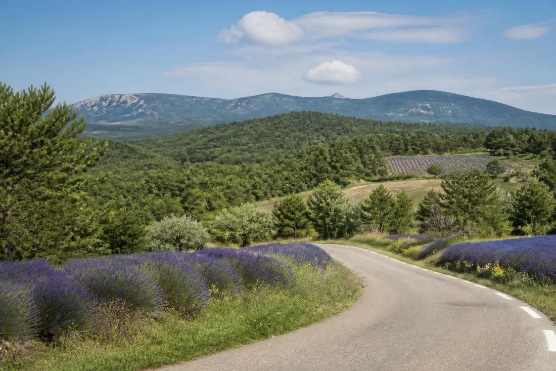 découvrez tout ce qu'il faut savoir sur le tour du luberon, une magnifique région entre le vaucluse et les alpes-de-haute-provence, avec des conseils, itinéraires et attractions incontournables.