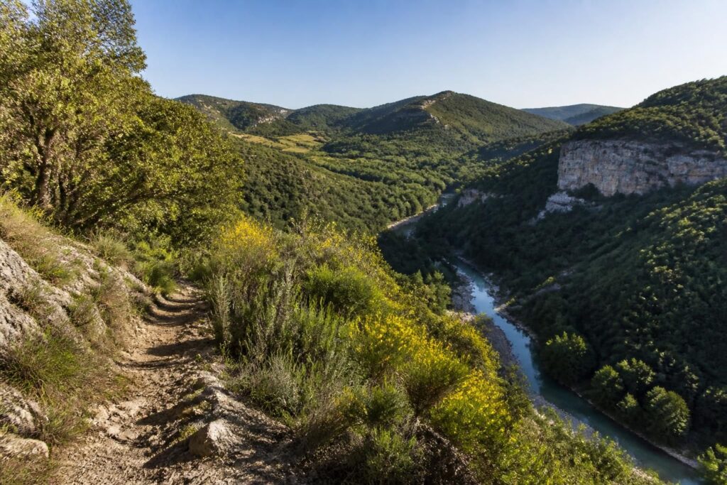 explorez le chemin de saint-guilhem-le-désert et découvrez les paysages magnifiques de la lozère, de l’aveyron, du gard et de l’hérault lors d’une randonnée inoubliable.