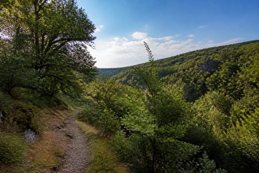 explorez le tour de la xaintrie noire en corrèze avec notre guide complet 2026. itinéraires, conseils pratiques et découvertes incontournables pour une aventure inoubliable.